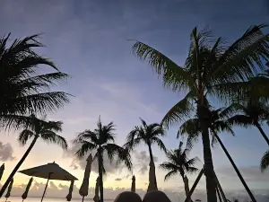 Cayman Kayaks