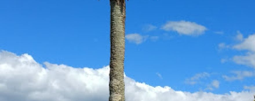 Opotiki Holiday Park