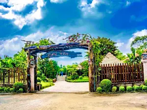 Du lịch sinh thái vườn trái cây Phi Yến