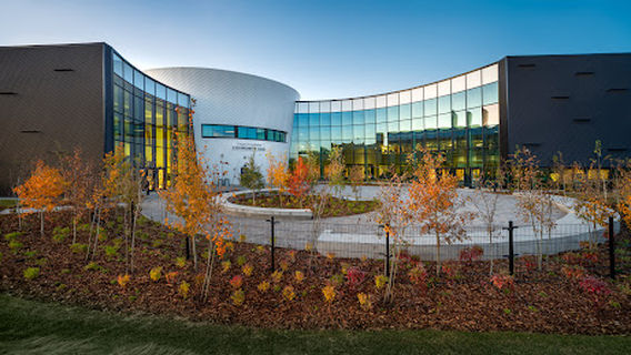 Vivo for Healthier Generations