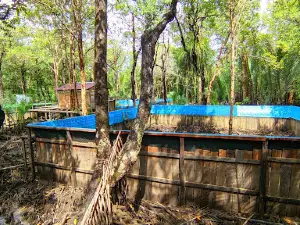 Wisata Alam Mangroove Ardimulyo