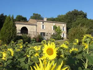 Camping de La Capelle