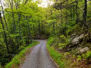 Kentenia State Forest