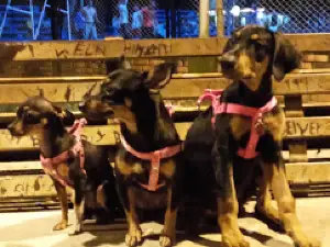 Parque Modelo