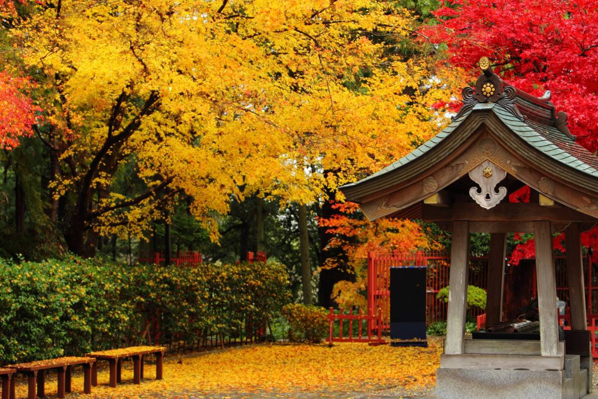 仙台紅葉 | 瑞鳳殿