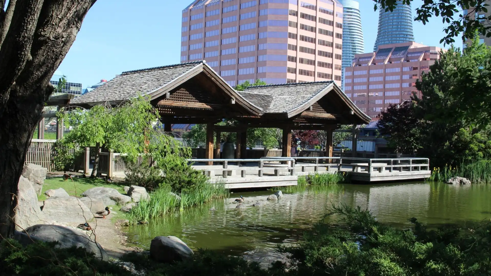 Hotels near Kariya Park