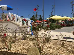 Splash in the Boro Waterpark and Aquatics Center