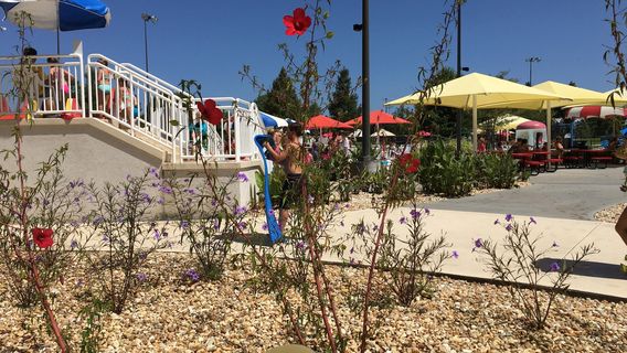 Splash in the Boro Waterpark - Statesboro, Bulloch County