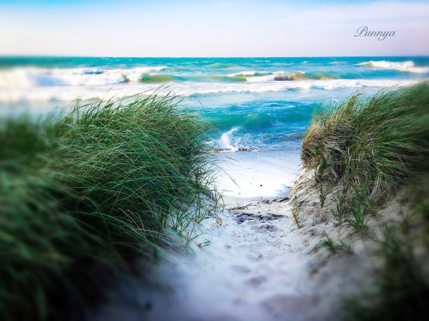 wilmette