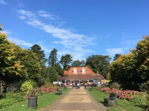 The Park Pub, Bedford