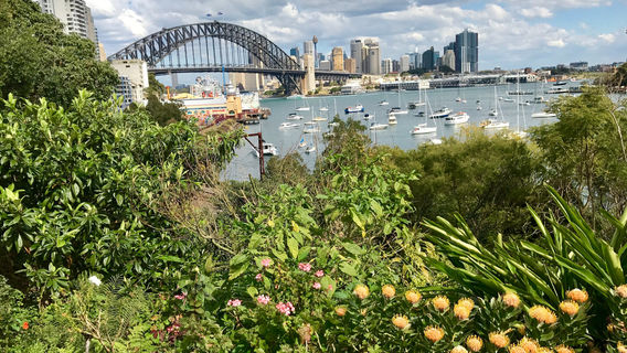 Wendy Whiteley's Secret Garden