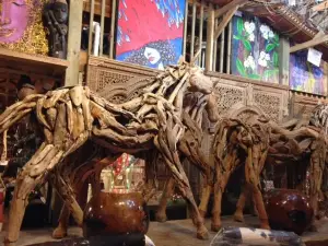 Primitive Designs