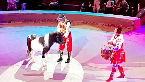 National Circus of Ukraine