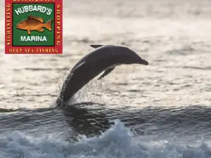 Hubbard's Marina