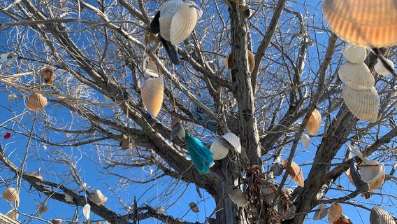 Folly Beach County Park