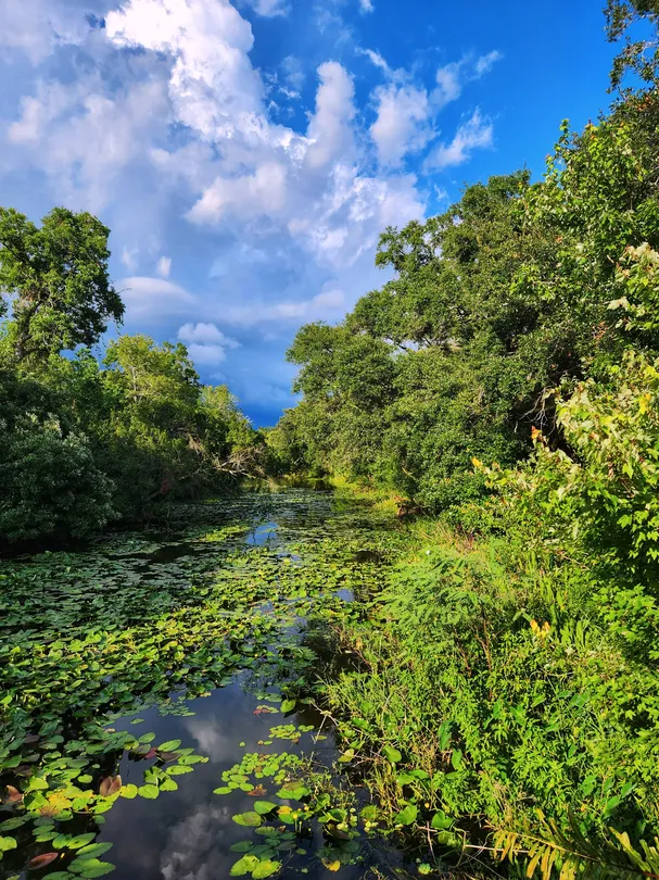 3_Sawgrass Lake Park