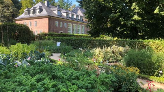 Botanical Garden of the University of Münster