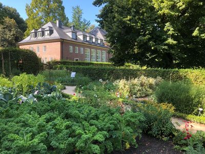 Botanical Garden of the University of Münster