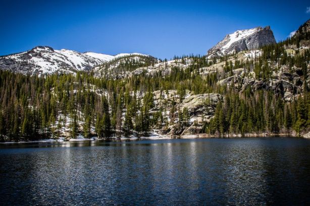 larimer-county