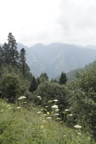 Khyber Pakhtunkhwa