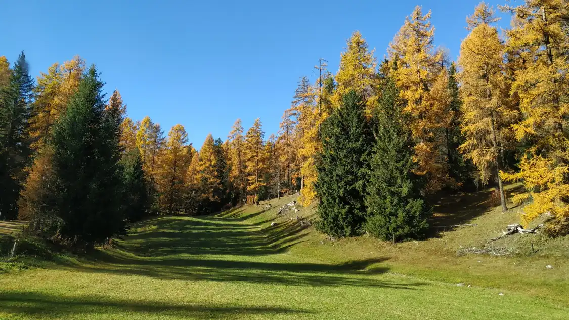Hotels near Engadine