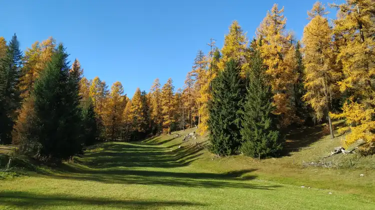 Hotels near Engadine