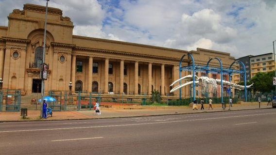 Трансваальский музей