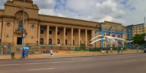 川斯華自然曆史博物館