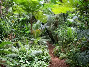 Grotte de Hortense