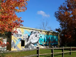 Buxton Trout & Salmon Farm
