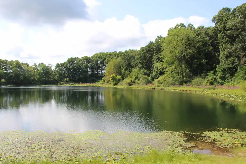4_Hidden Lake Gardens