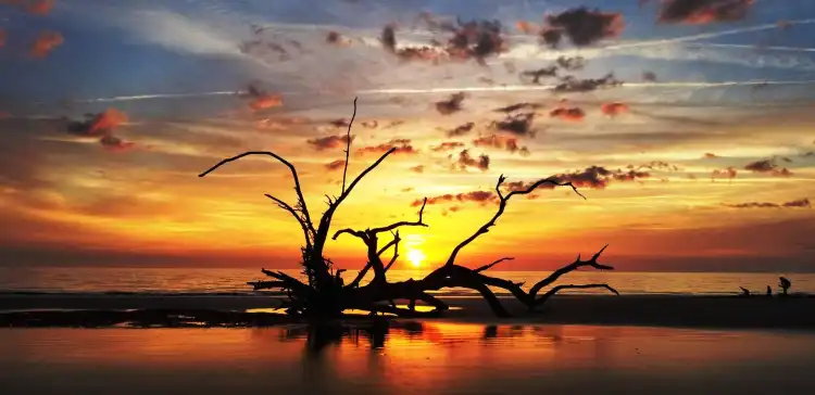 Ascend Collection Hotels in Jekyll Island