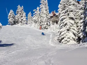 Romme Alpin