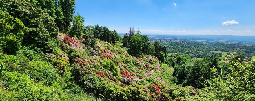 Parco della Burcina