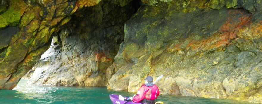 Kayak-King