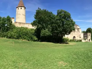 Seebenstein Castle