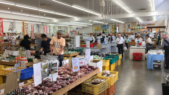 Pocket Farm dokidoki Tsukuba Ushiku