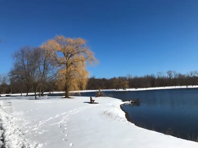 Hôtels à : Webster