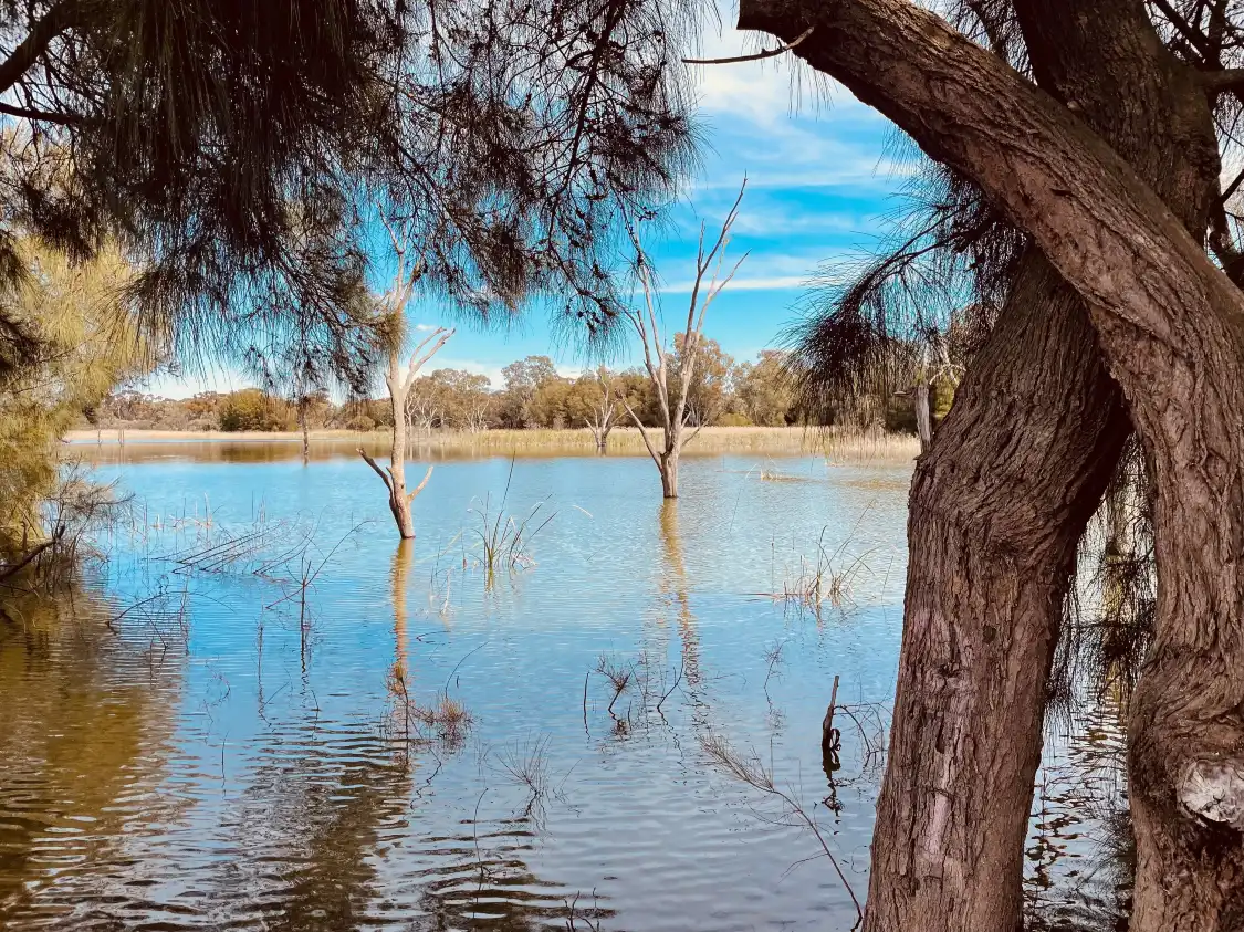 Lake Wyangan附近的飯店