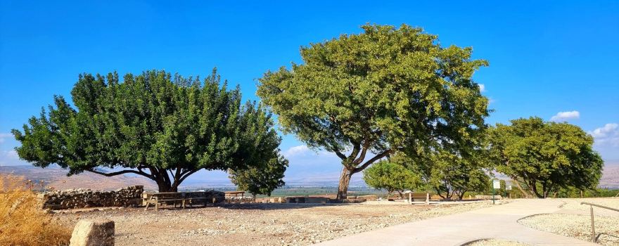 Tel Hazor National Park - גן לאומי תל חצור-כולל מוזיאון