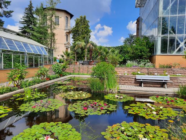 Botanical Garden