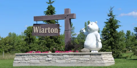 Wiarton Willie Statue