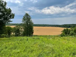 H & B Bremer Wildlife Sanctuary