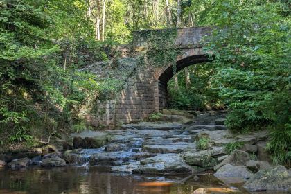 Falling Foss Tea Garden