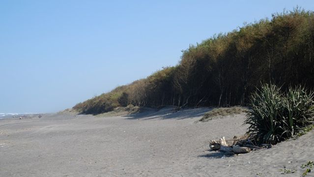 Gumuk Pasir Parangkusumo