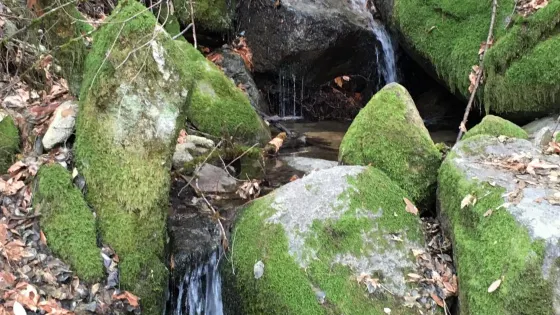 Brandy Creek Falls