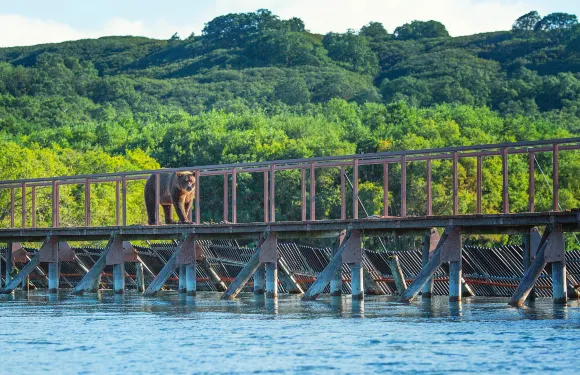 彼得羅巴甫洛夫斯克