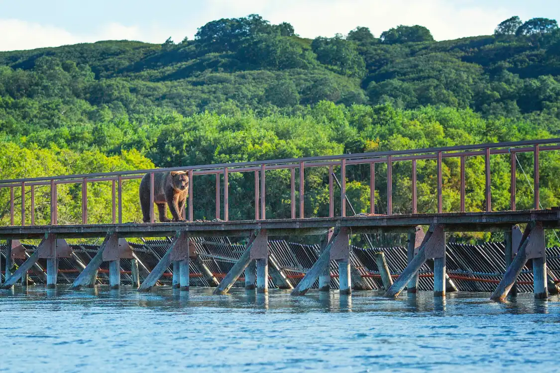Hotel in zona Kurile Lake
