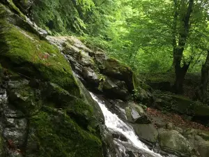 Kabaceviz Falls