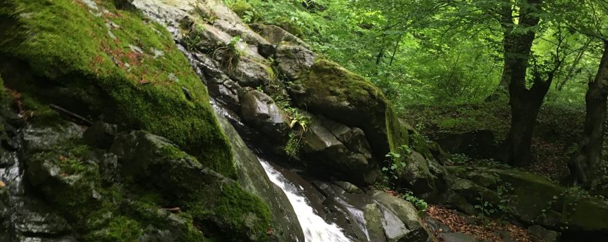 Kabaceviz Falls